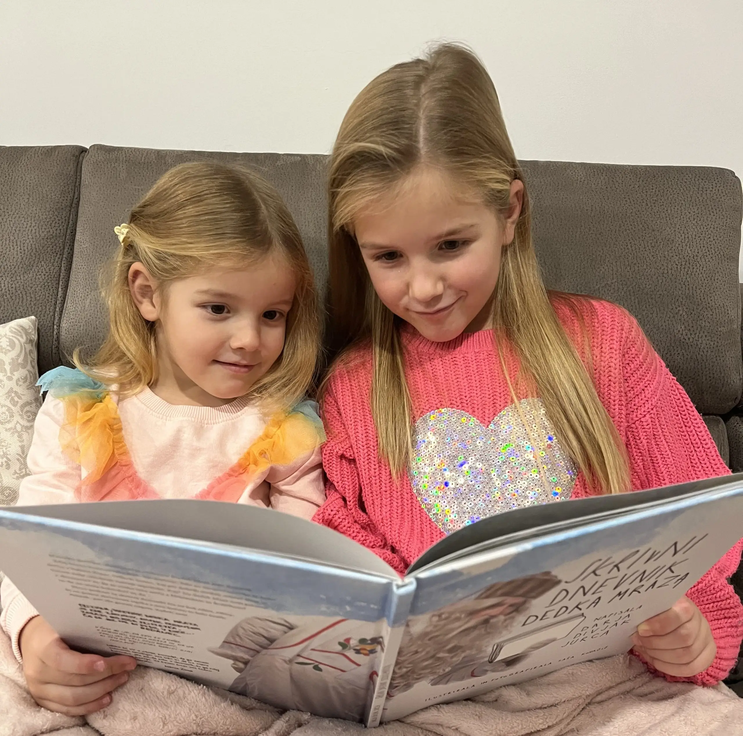 Bereva Skrivni dnevnik dedka Mraza